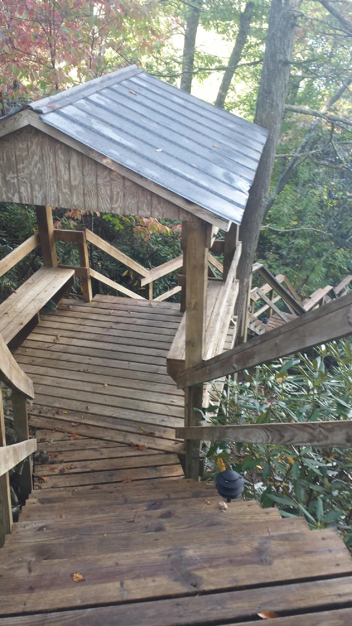 Metal roofed shelter over wooden steps on a wooded walkway — Skylight Repair & Installation work by our crew in Buena