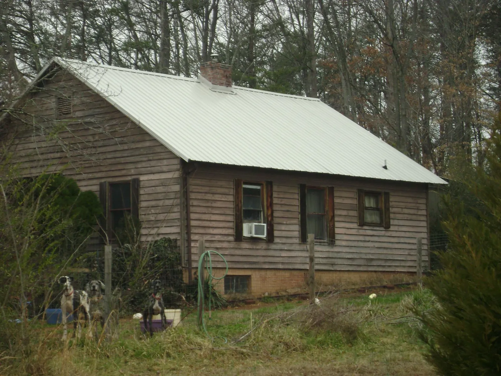 White metal roof on an old wood sided farmhouse, from a Asphalt Shingle Roof Repair job in Buena